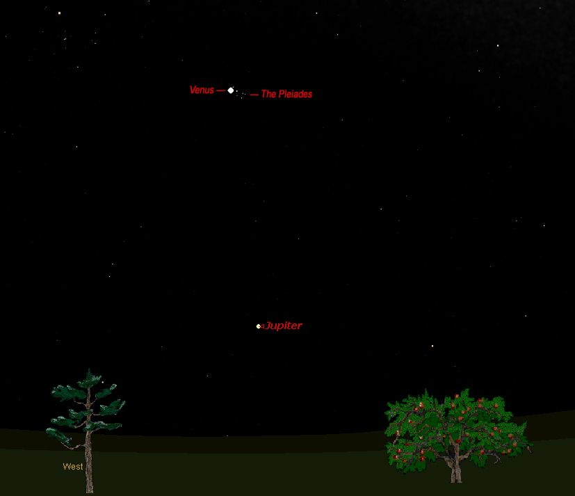 Venus and Pleiades Star Cluster Shine in Celestial Show Tuesday